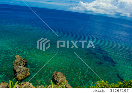 イグアナ岩からの景色 55267197