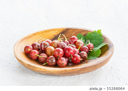 セイヨウスグリの実 セイヨウスグリの実 55268064