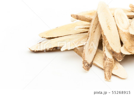黄耆(オウギ)の根 アストラガルス: Astragalus root slices 黄耆(オウギ)の根 アストラガルス: Astragalus root slices 55268915