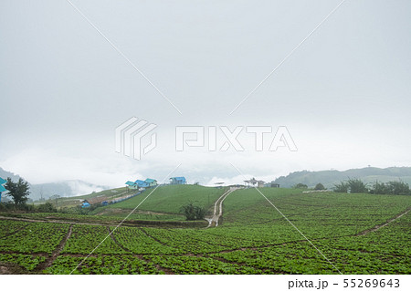 Phetchabun, Thailand-July 28,2018, Highland 55269643