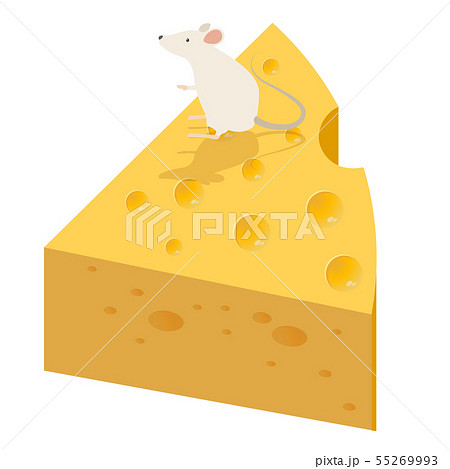 チーズ 55269993