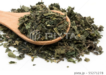ネトル セイヨウイラクサ ドライハーブ: Nettle Leaf ネトル セイヨウイラクサ ドライハーブ: Nettle Leaf 55271278