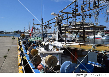 イカ釣り漁船 55271506