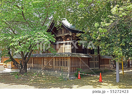 玉諸神社 玉諸神社 55272423