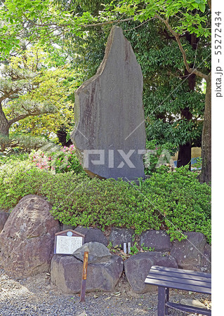 玉諸神社 55272434