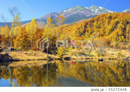 紅葉とまいめの池１ 55272448