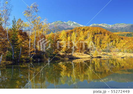 紅葉とまいめの池2 紅葉とまいめの池2 55272449