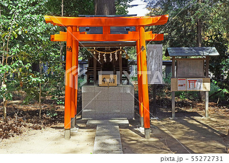 甲斐国一之宮浅間神社 55272731