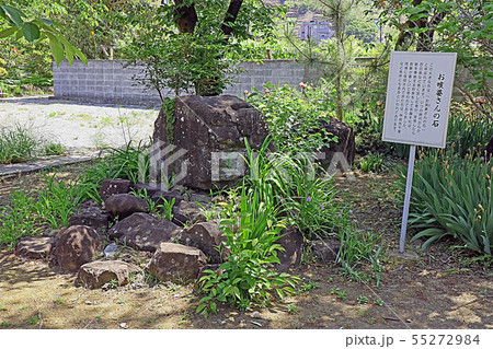 甲斐善光寺 55272984