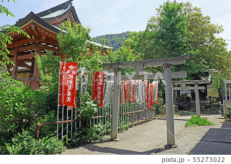 甲斐善光寺 甲斐善光寺 55273022