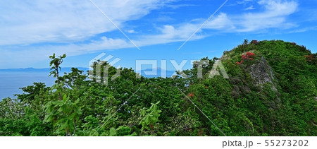 室蘭地球岬からみた駒ケ岳とツツジのコラボ情景 55273202