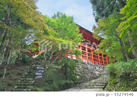 【比叡山 延暦寺 横川中堂】 滋賀県大津市坂本本町 55274546