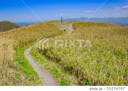 島根の名峰「子三瓶山」山頂の風景！（島根県飯石郡飯南町）※作品コメント欄に撮影位置 55274797