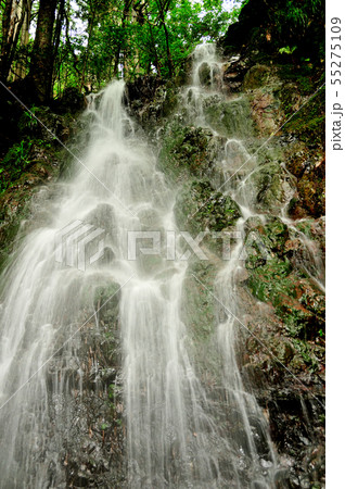 曼陀羅の滝 55275109