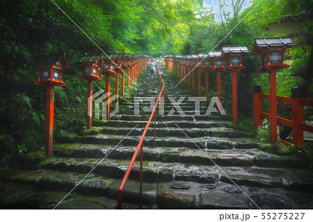 京都 幻想的な新緑の景色のイラスト素材