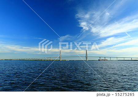 アメリカ　東海岸　サウスカロライナ　チャールストン 55275265