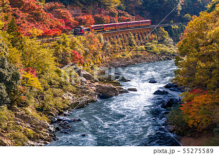 保津峡の秋 保津峡の秋 55275589