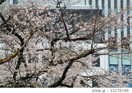 街景色 東京 九段 街景色 東京 九段 55276190