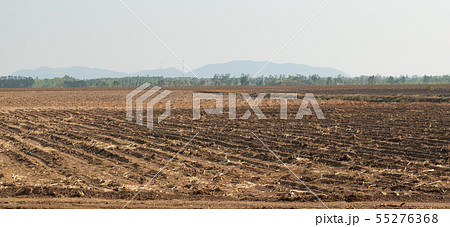 aerial view of sugar cane plantation aerial view of sugar cane plantation 55276368