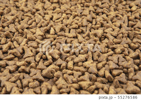 Close-up of pet dry food 55276586