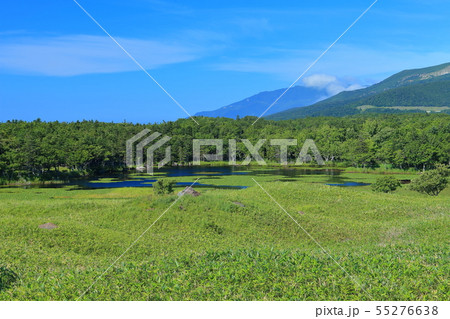【北海道】晴天下の知床五湖 【北海道】晴天下の知床五湖 55276638