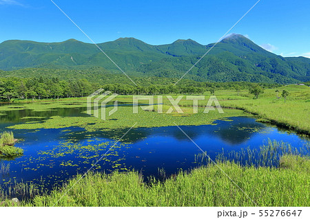 【北海道】晴天下の知床五湖 55276647
