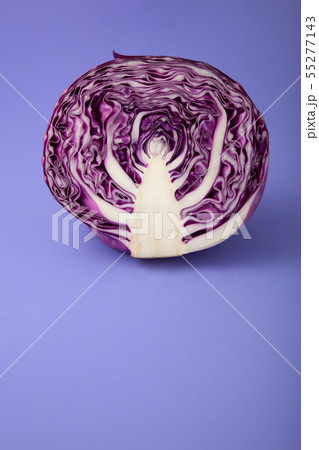 　紫キャベツ 55277143
