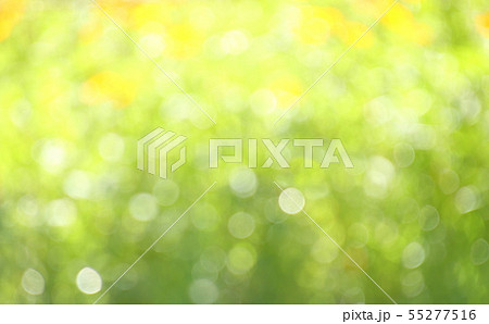 花の玉ボケ 丸ボケ背景画像の写真素材