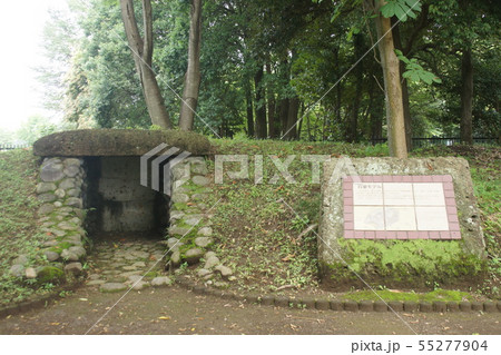 根古谷台遺跡 55277904