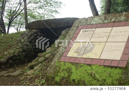 根古谷台遺跡 55277908