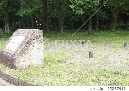 根古谷台遺跡 55277916