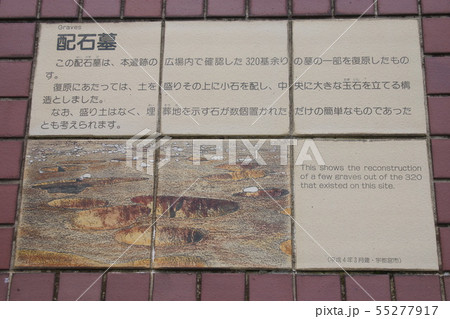 根古谷台遺跡 55277917