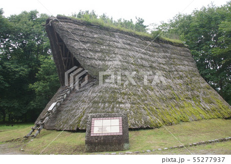 根古谷台遺跡 根古谷台遺跡 55277937