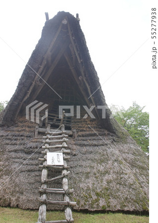 根古谷台遺跡 根古谷台遺跡 55277938