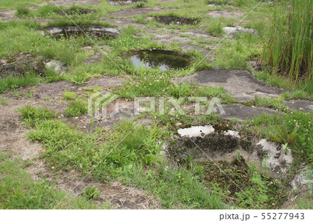 根古谷台遺跡 55277943