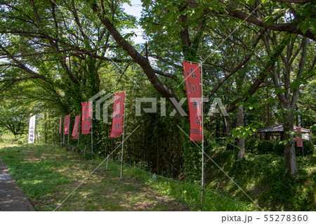 小川城址 群馬県みなかみ町月夜野 小川城址 群馬県みなかみ町月夜野 55278360