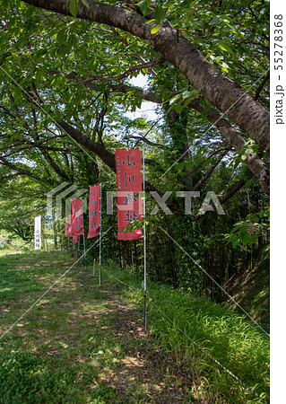 小川城址　群馬県みなかみ町月夜野　 55278368