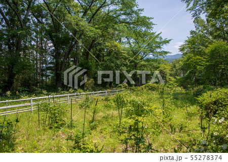 小川城址 本丸跡付近 群馬県みなかみ町月夜野 小川城址 本丸跡付近 群馬県みなかみ町月夜野 55278374
