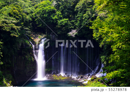 白糸の滝 55278978