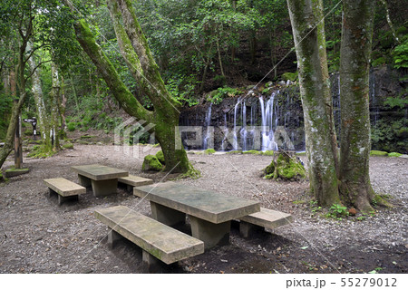 箱根小涌谷 【神奈川県】 蛇骨川 【夏】 千条の滝 55279012