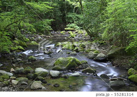 箱根小涌谷 【神奈川県】 蛇骨川の清流 【夏】 55281314