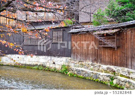 秋 京都 祇園白川 秋 京都 祇園白川 55282848