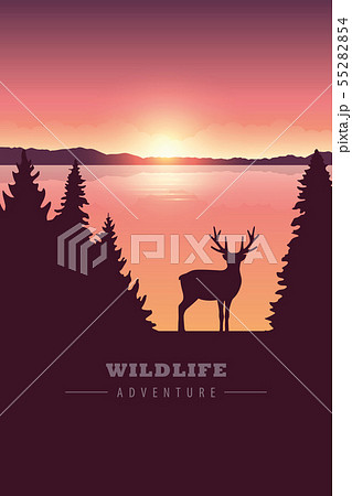 wildlife adventure elk in the wilderness by the lake at sunset 55282854