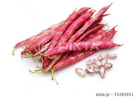 Fresh pinto beans isolated on white Fresh pinto beans isolated on white 55283951