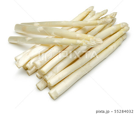 Bunch of white asparagus isolated on white 55284032