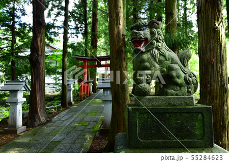 北杜市大泉町、逸見神社の狛犬(阿形) 北杜市大泉町、逸見神社の狛犬(阿形) 55284623