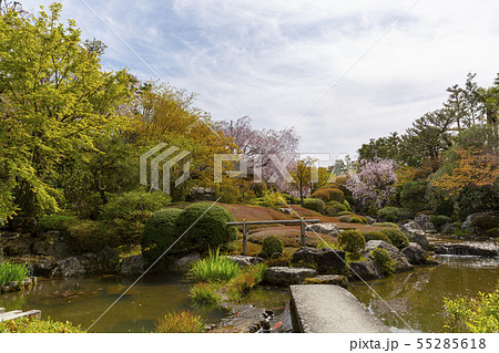余香苑/退蔵院/京都 余香苑/退蔵院/京都 55285618