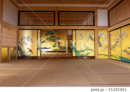 対面所/本丸御殿/名古屋城/愛知県 55285991