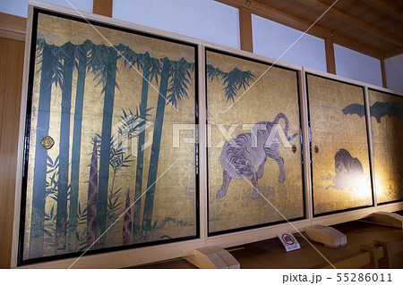 竹林豹虎図/本丸御殿/名古屋城/愛知県 竹林豹虎図/本丸御殿/名古屋城/愛知県 55286011