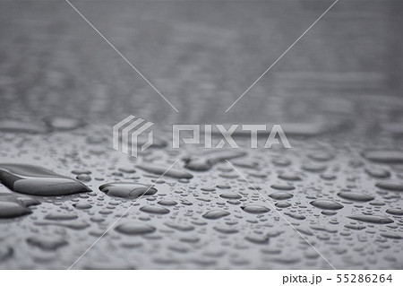 雨上がり 雨上がり 55286264